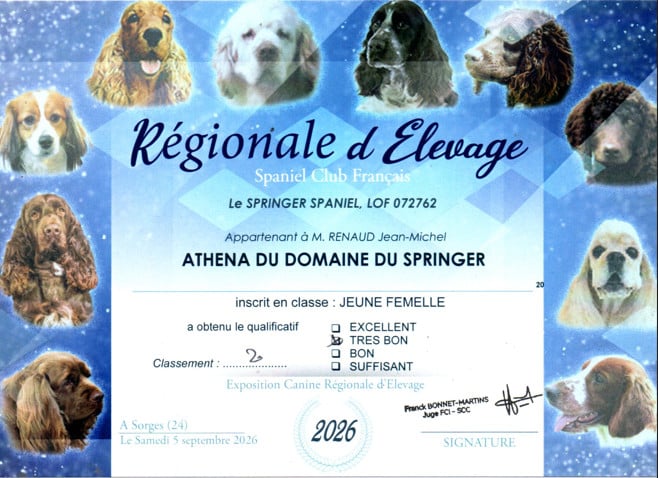 Athena Du Domaine Du Springer - 2EME TB