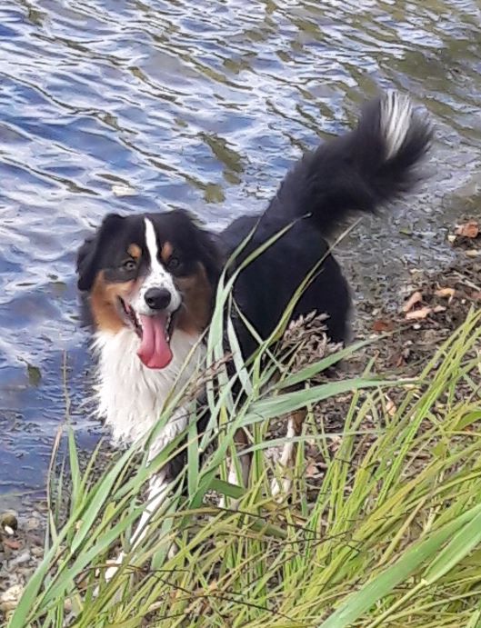 Publication : (Sans Affixe)