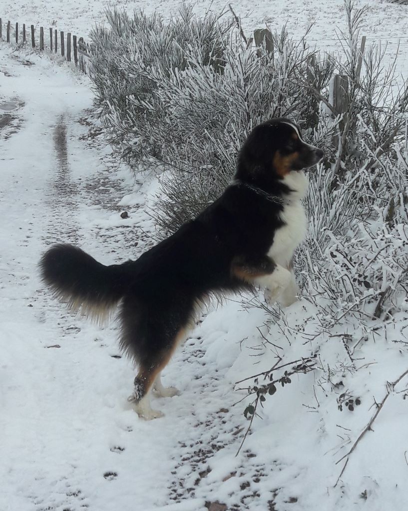 Publication : (Sans Affixe)