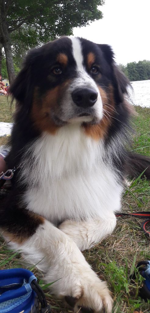 Publication : (Sans Affixe)