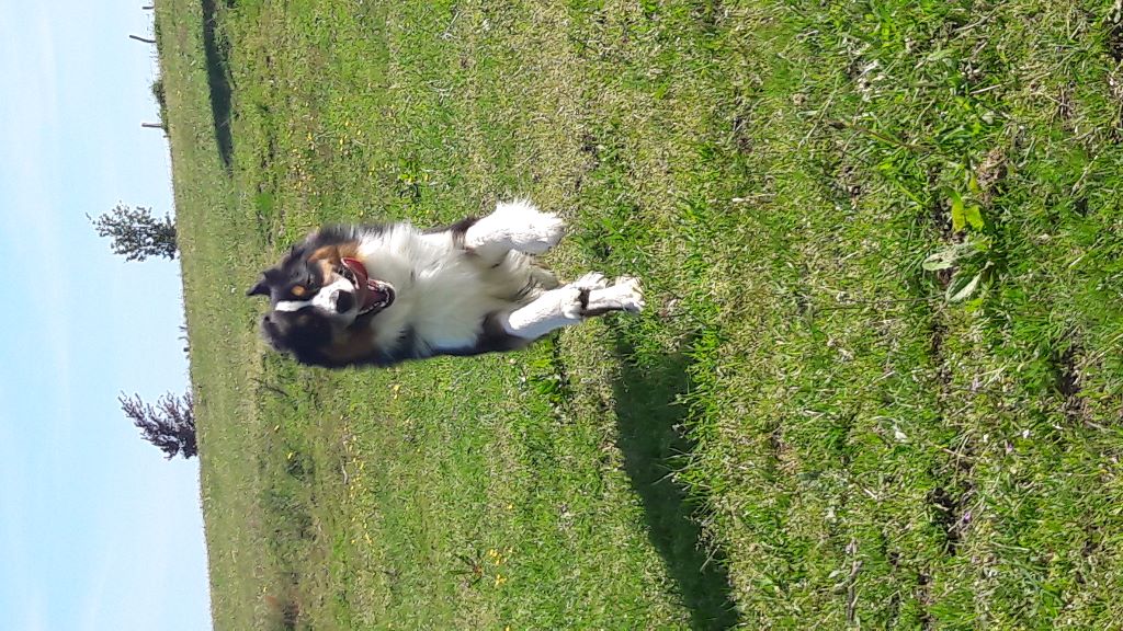 Publication : (Sans Affixe)