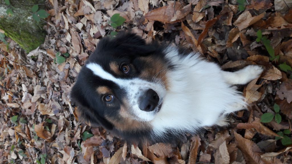 Publication : (Sans Affixe)