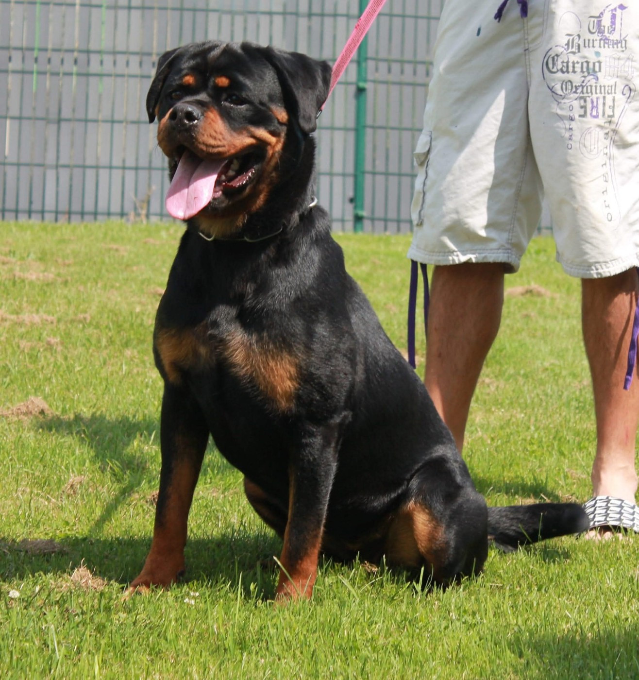 Una Of Impérial Wisdom