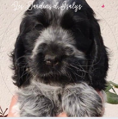 Des Jardins D'Isalys