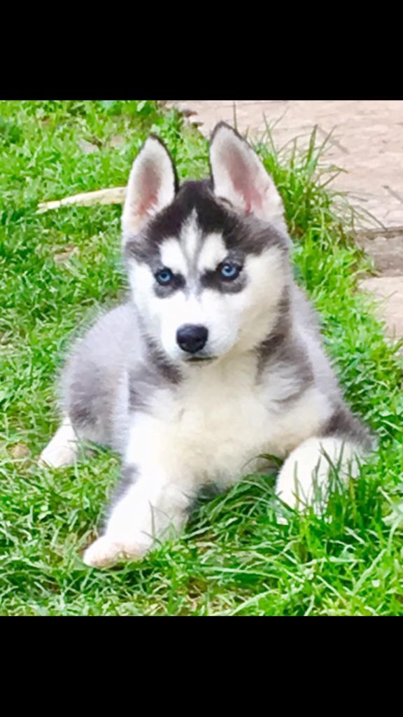 Publication : Des Terres De L’Yonne