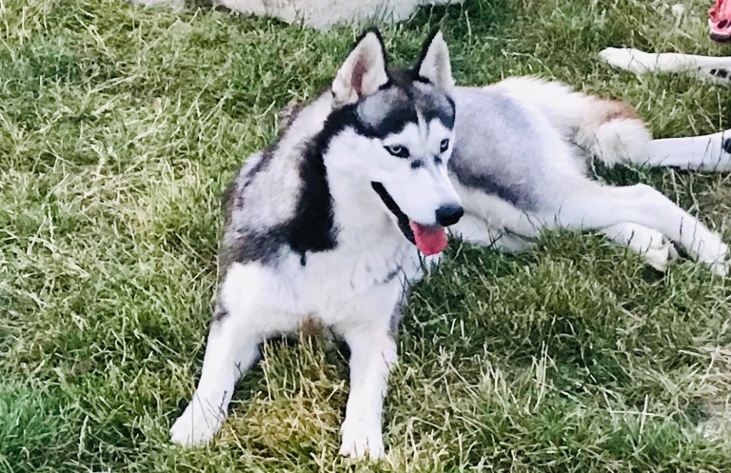 Publication : Des Terres De L’Yonne