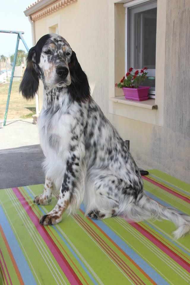 Publication : du Royaume des quatre vents