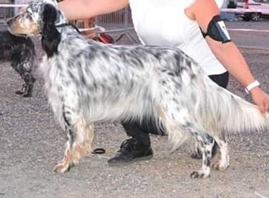 Publication : du Royaume des quatre vents