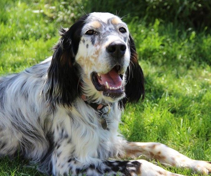 Publication : du Royaume des quatre vents