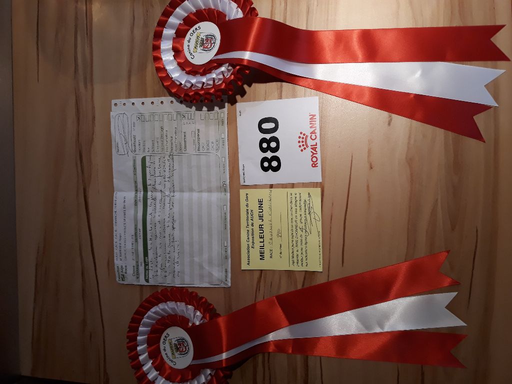 Nell De la combe berail - 1 er excellent classe jeune