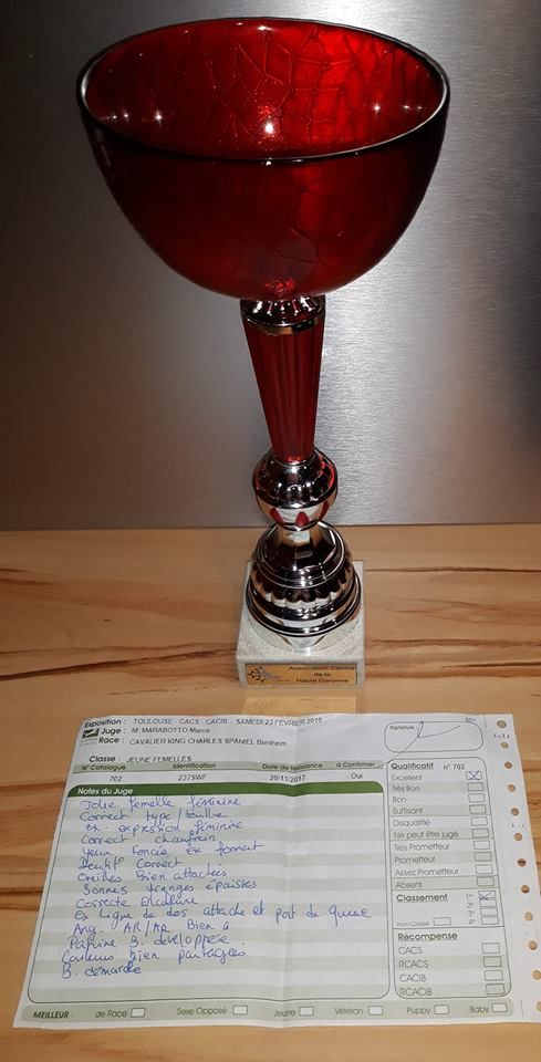 Nell De la combe berail - 1 er Excellent classe Jeune