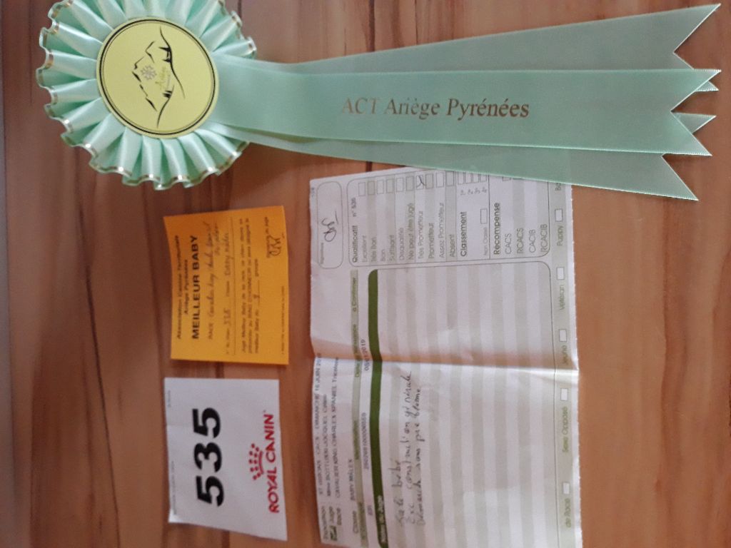 Pequito du Royaume des quatre vents - Très prometteur Meilleur Baby