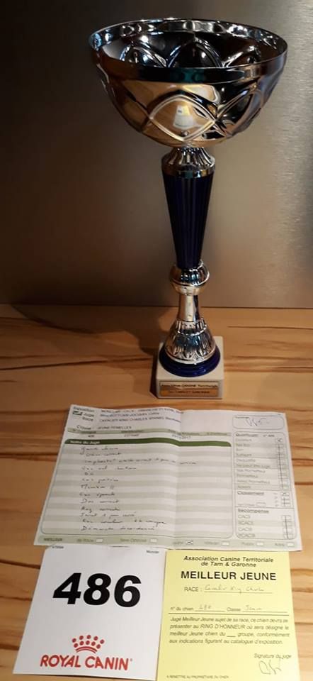 Nell De la combe berail - 1 er Excellent et Meilleur Jeune