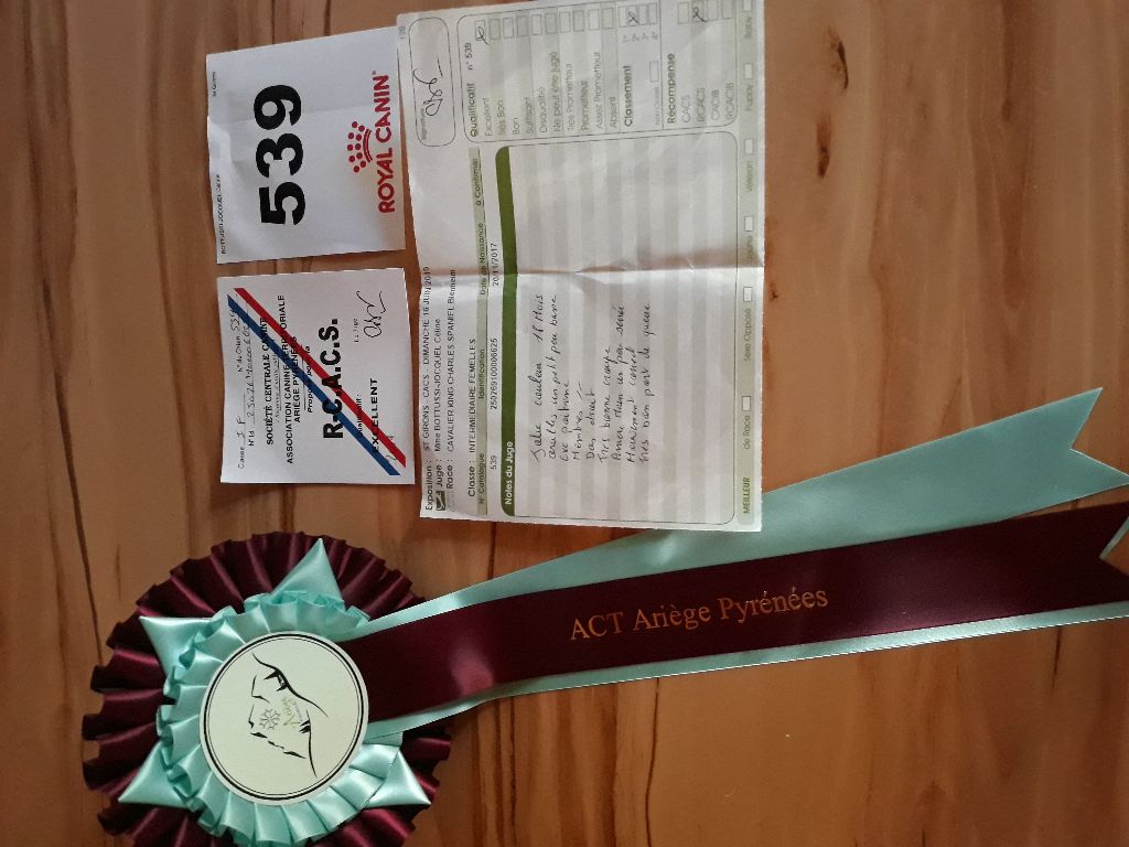 Nell De la combe berail - RCACS classe intermédiaire