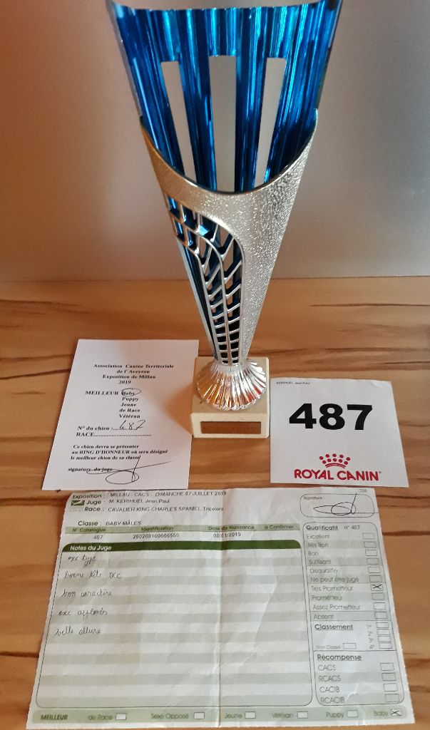 Pequito du Royaume des quatre vents - Très prometteur Meilleur Baby