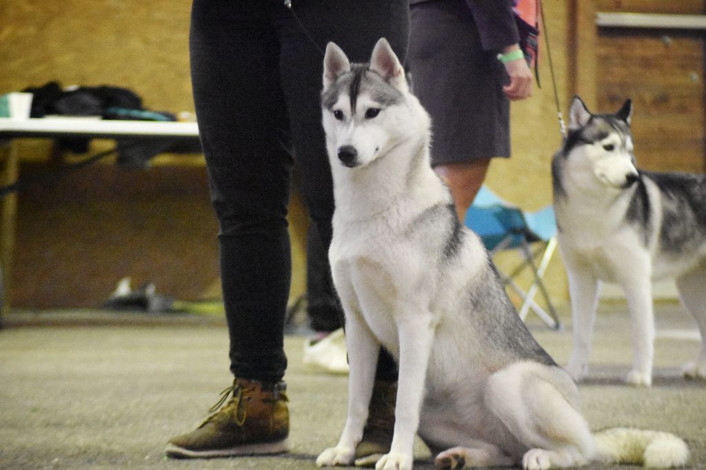 Publication : Thunderstorm Whisper Auteur : Thunderstorm Whisper