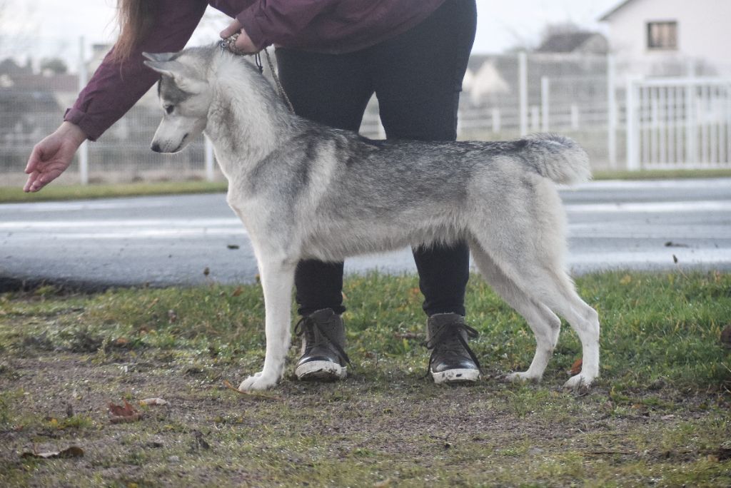 Publication : Thunderstorm Whisper Auteur : Thunderstorm Whisper