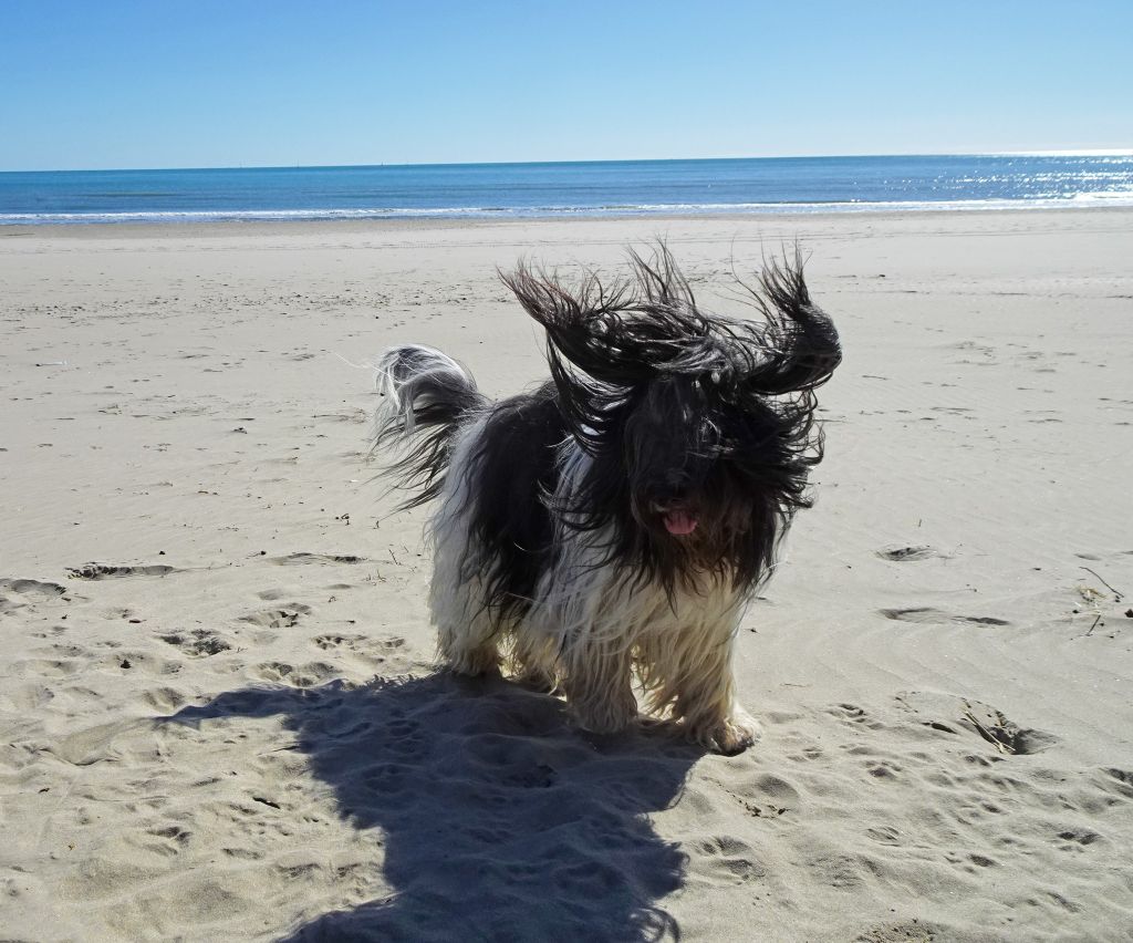 Publication : (Sans Affixe)