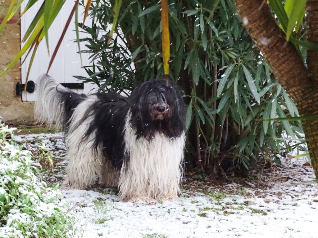 Publication : (Sans Affixe)