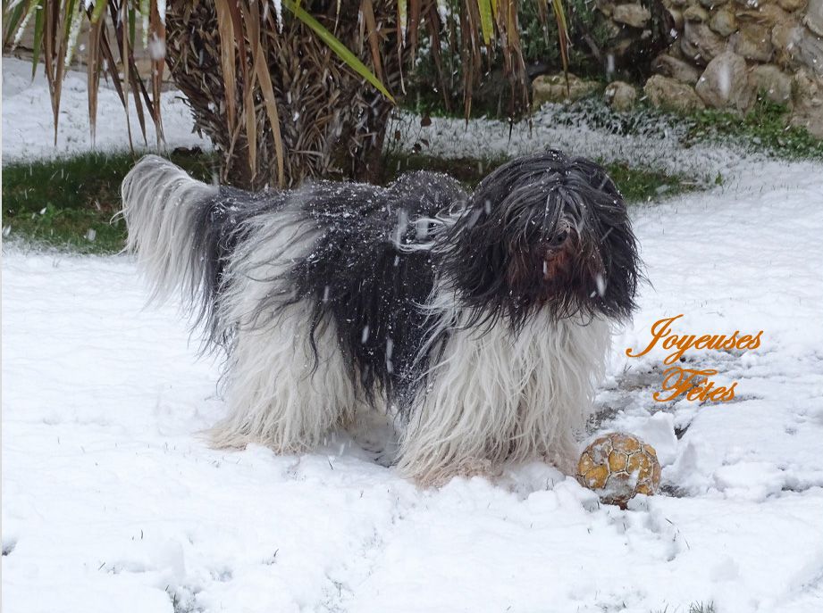 Publication : (Sans Affixe)