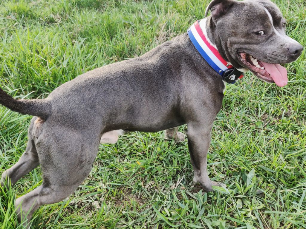 Publication : (Sans Affixe) Auteur : Jordy espin