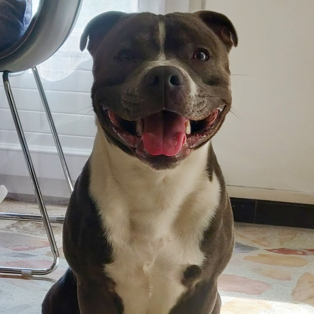 Publication : (Sans Affixe) Auteur : Jordy espin