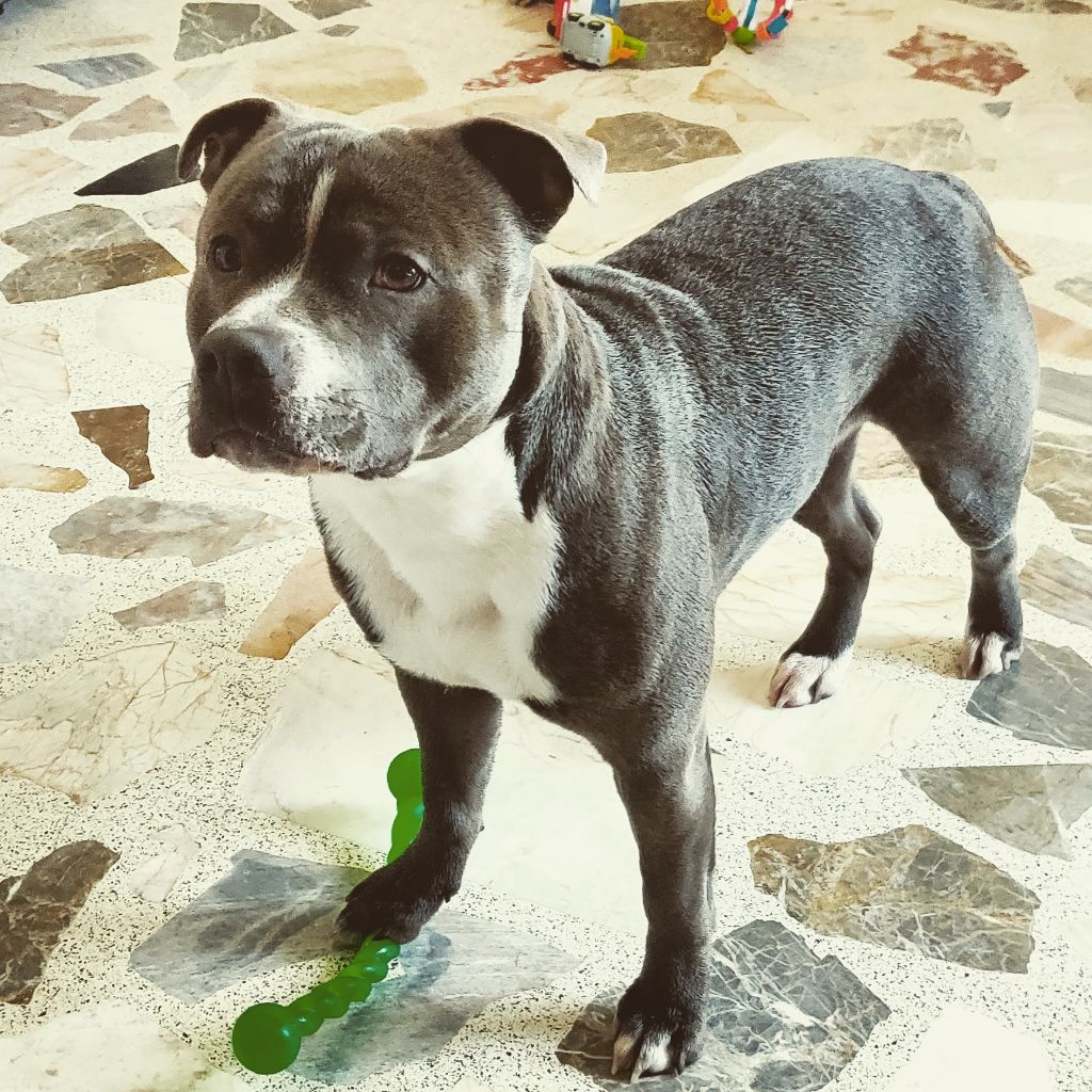 Publication : (Sans Affixe) Auteur : Jordy espin