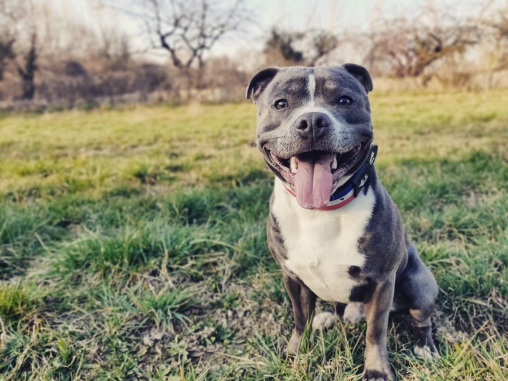 Publication : (Sans Affixe) Auteur : Jordy espin