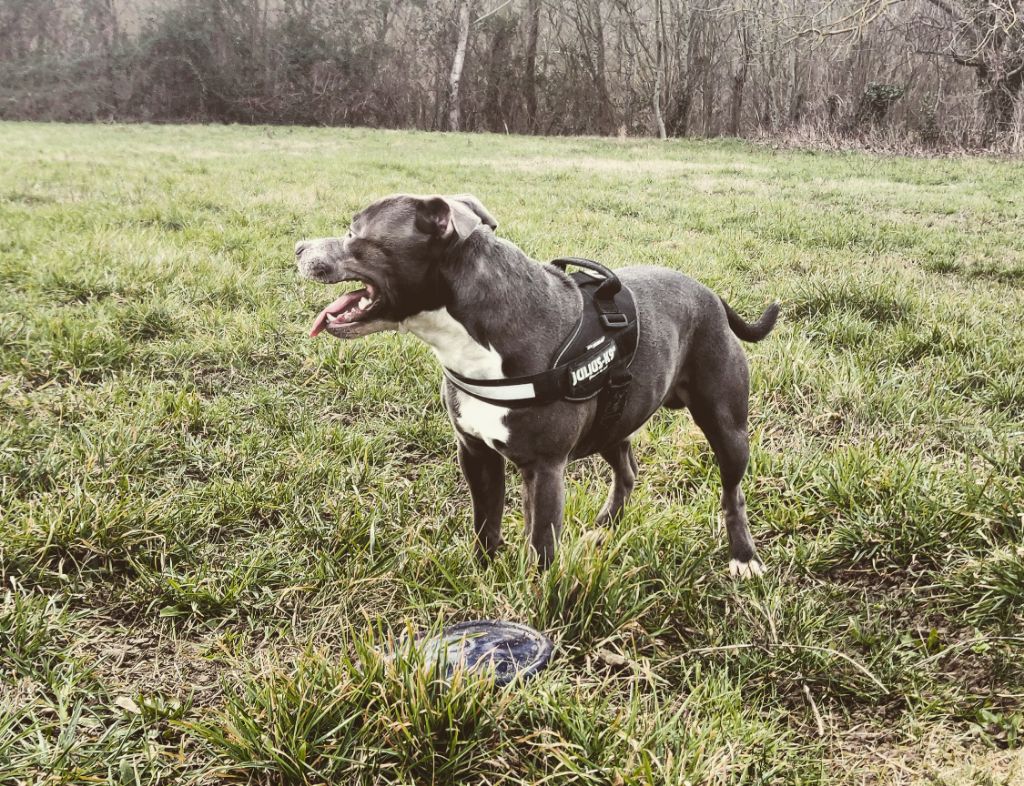 Publication : (Sans Affixe) Auteur : Jordy espin