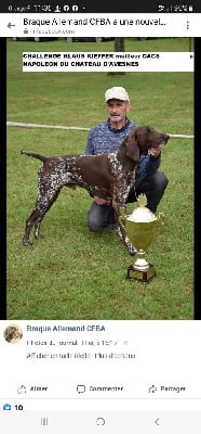 Des Gatines De L'Isle