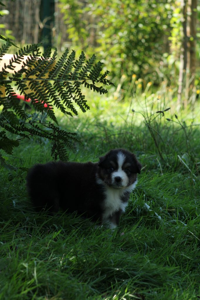 Visible Espoir femelle 5