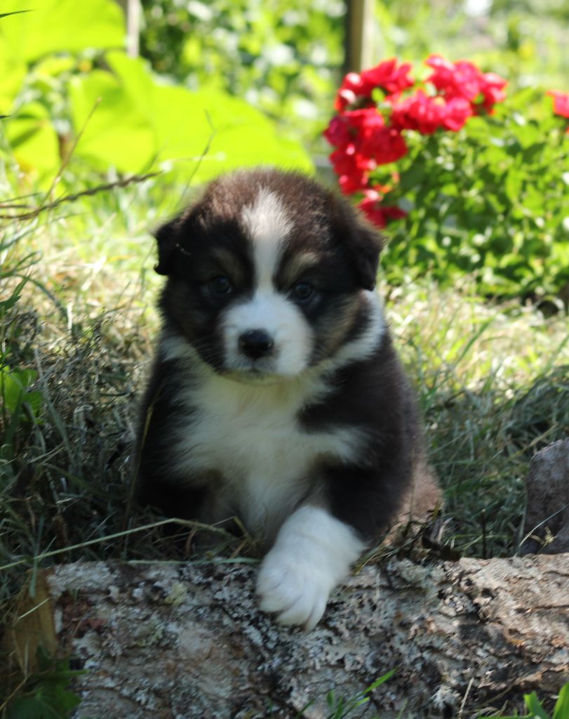 Visible Espoir femelle 5