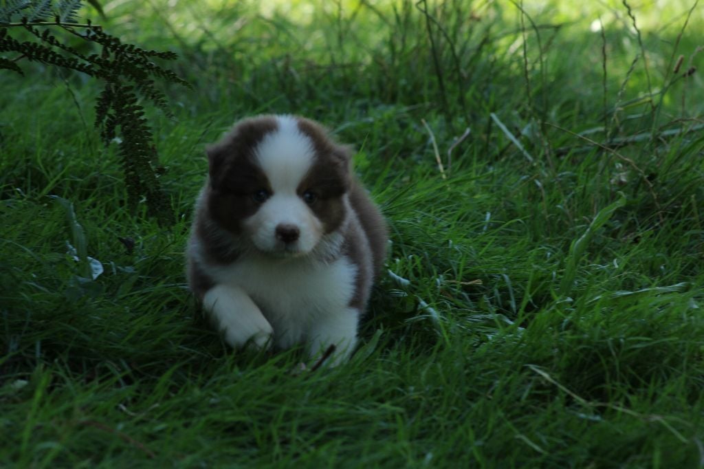 V'là l'Bon Vent Femelle 2