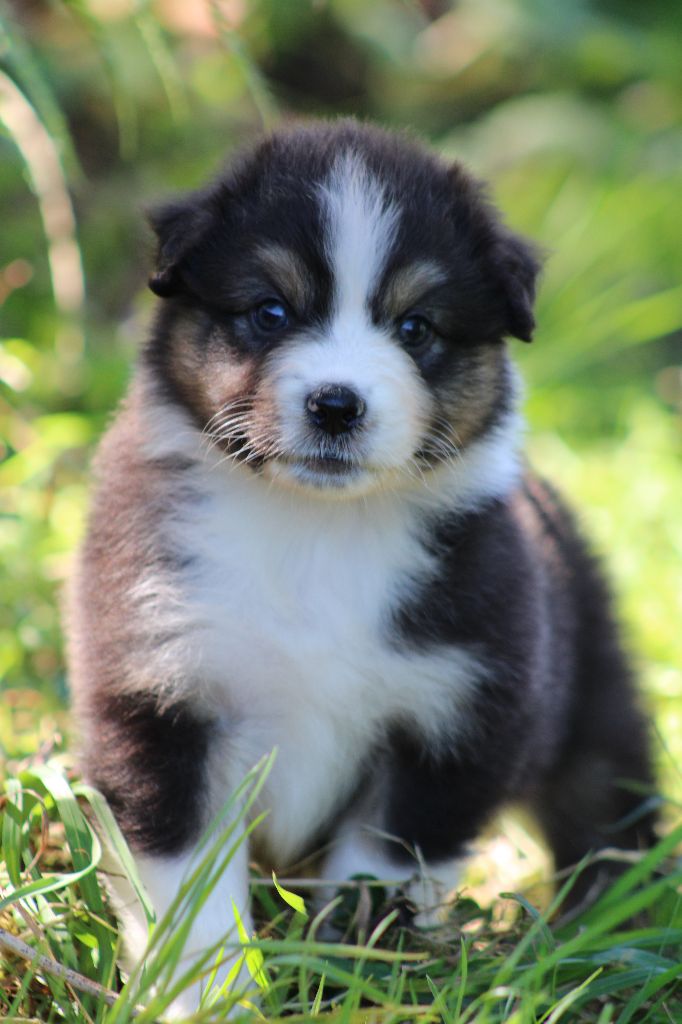 Visible Espoir femelle 5