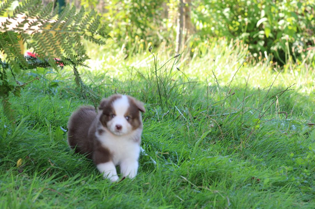 V'là l'Bon Vent Femelle 2