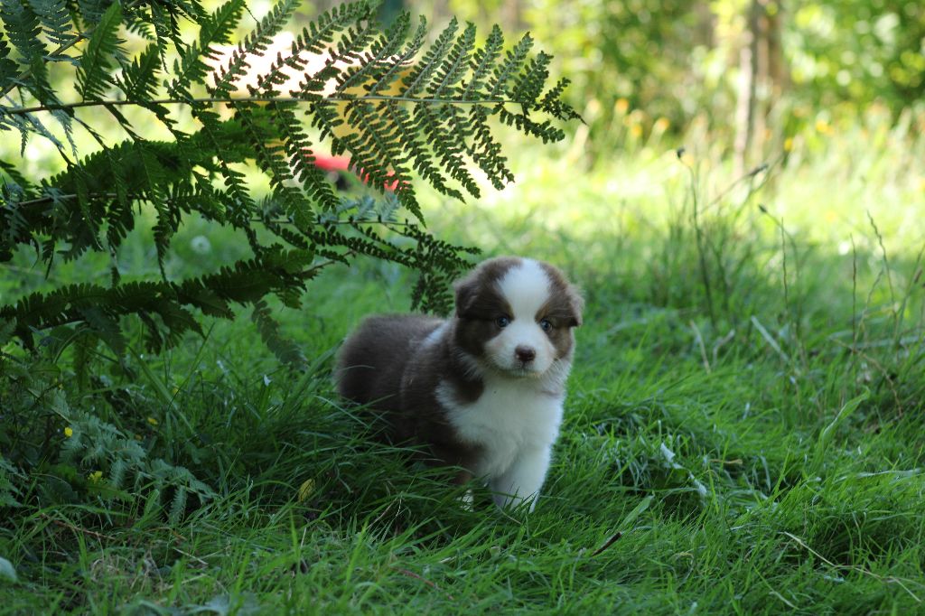 V'là l'Bon Vent Femelle 2