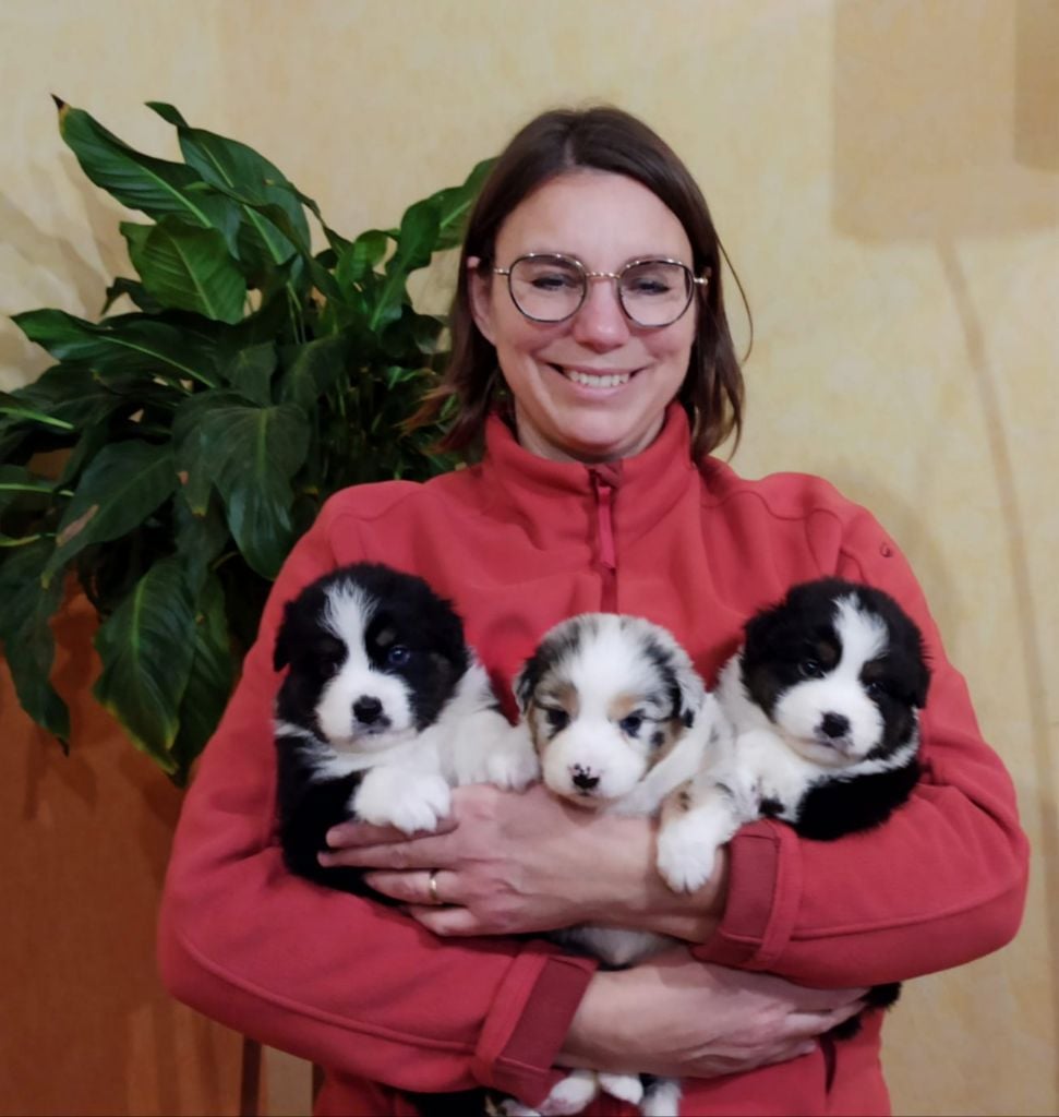 Aloé Vera collier rose