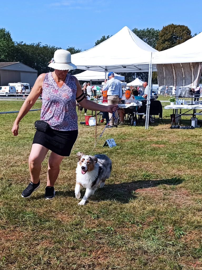 Ushuaia land fire Des Chemins de Saint François - Très prometteur