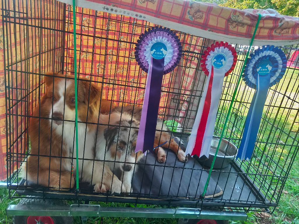 Praline Des Chemins de Saint François - 2ème EXC et RCACS