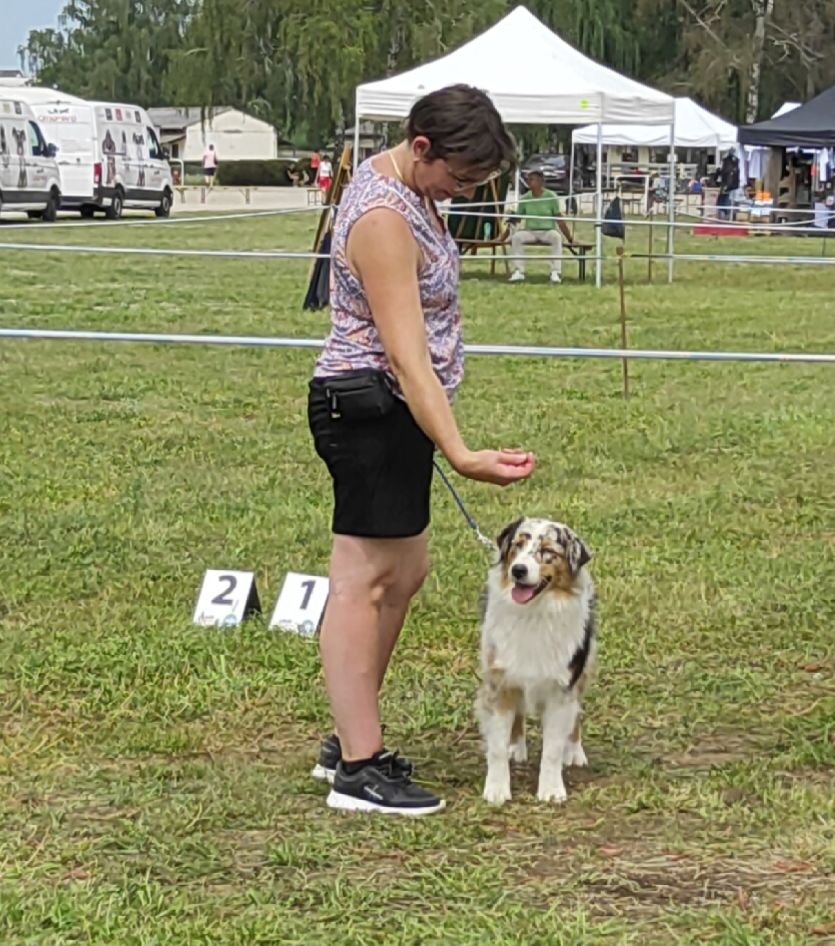 Ushuaia land fire Des Chemins de Saint François - Très prometteur Meilleur Puppy
