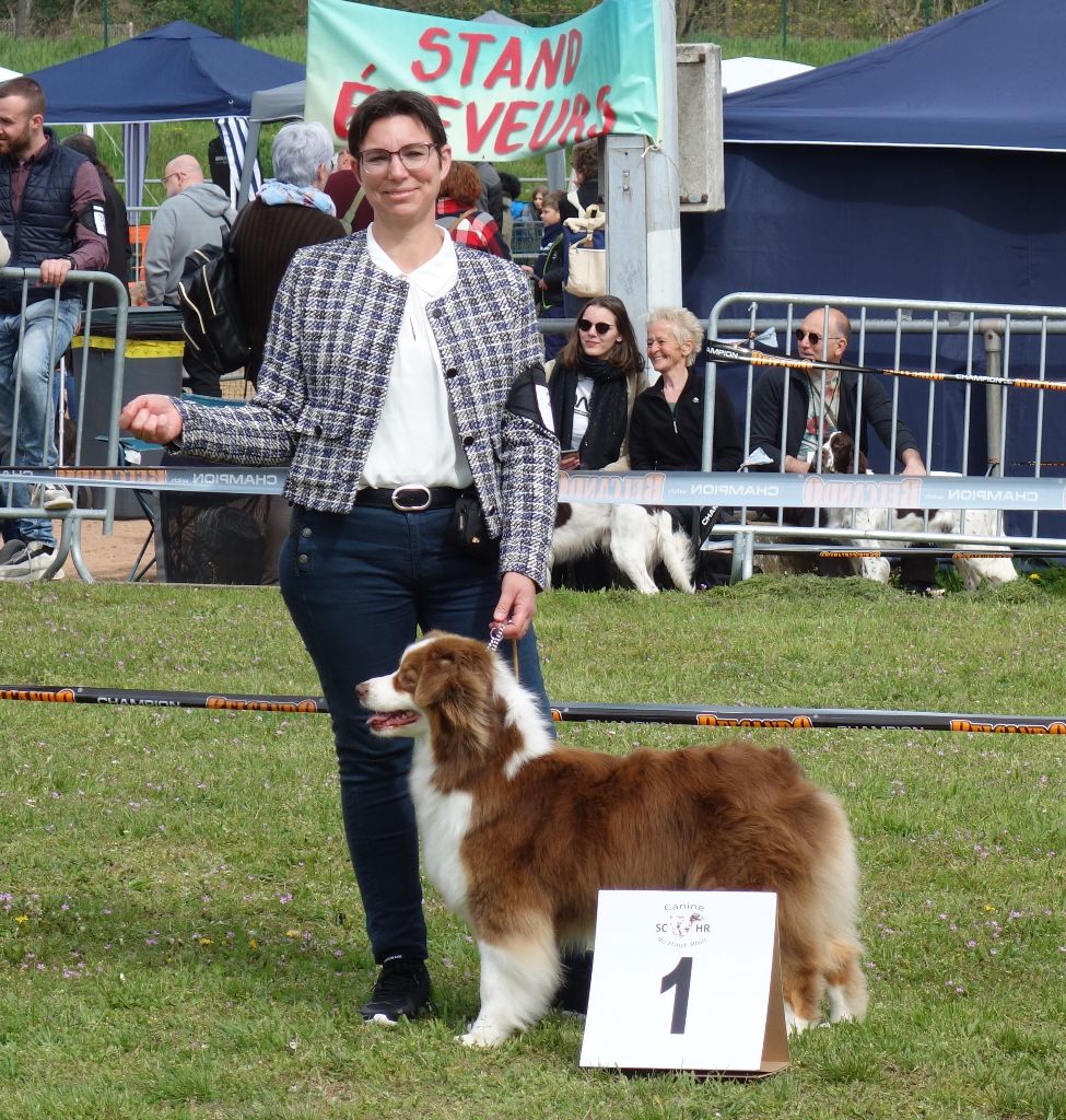 Praline Des Chemins de Saint François - 1ère EXC CACS