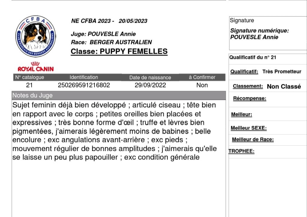 Tadam black cherry Des Chemins de Saint François - Très Prometteur NC