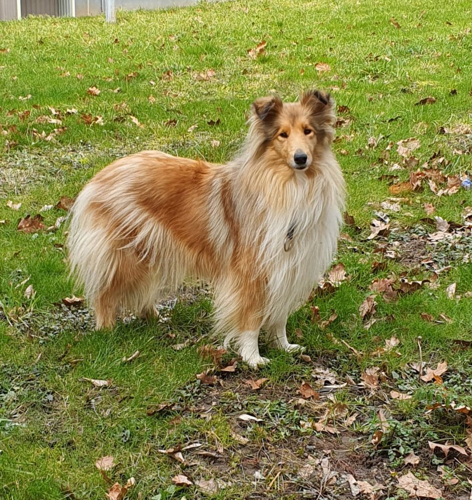 Romy schneider clos de seawind