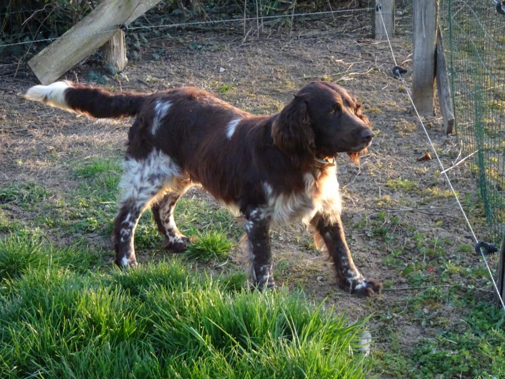 Publication : Des Epines Noires Du Finage Auteur : Lullier Florian