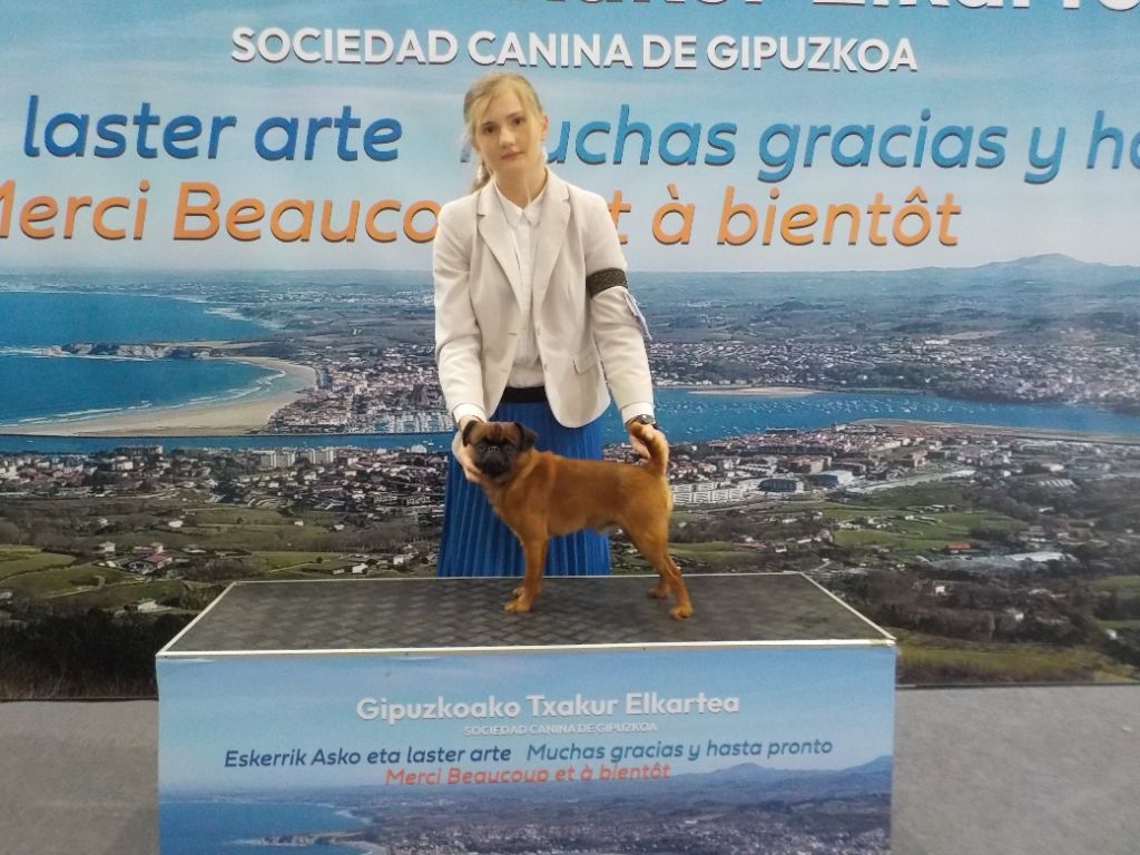 CH. Let it be de mar&mar - CACIB Meilleur de Race