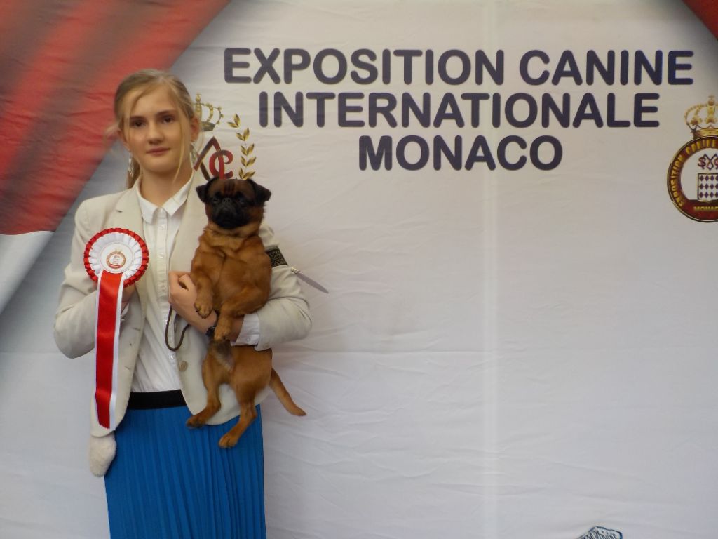 CH. Let it be de mar&mar - CACM CACIB Meilleur de Race