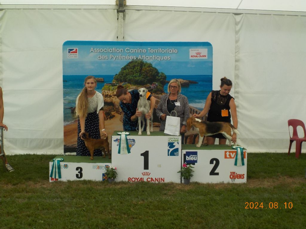 CH. Let it be de mar&mar - 3ème Meilleur Champion de l'Exposition