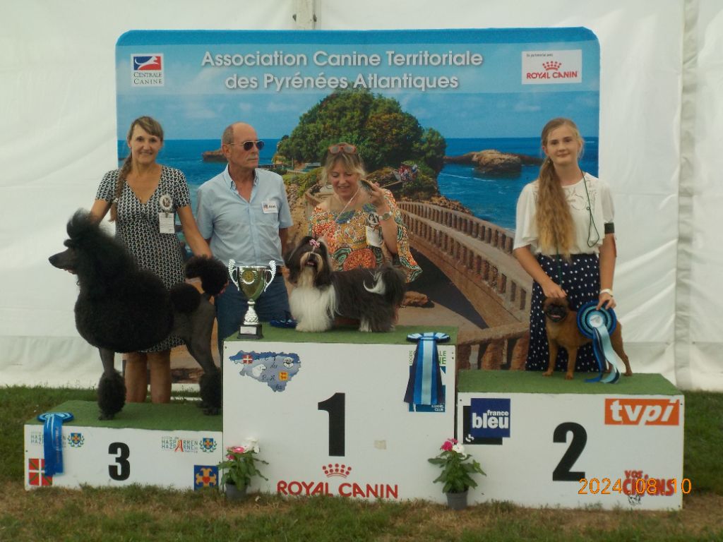 CH. Let it be de mar&mar - 2ème du Groupe 9