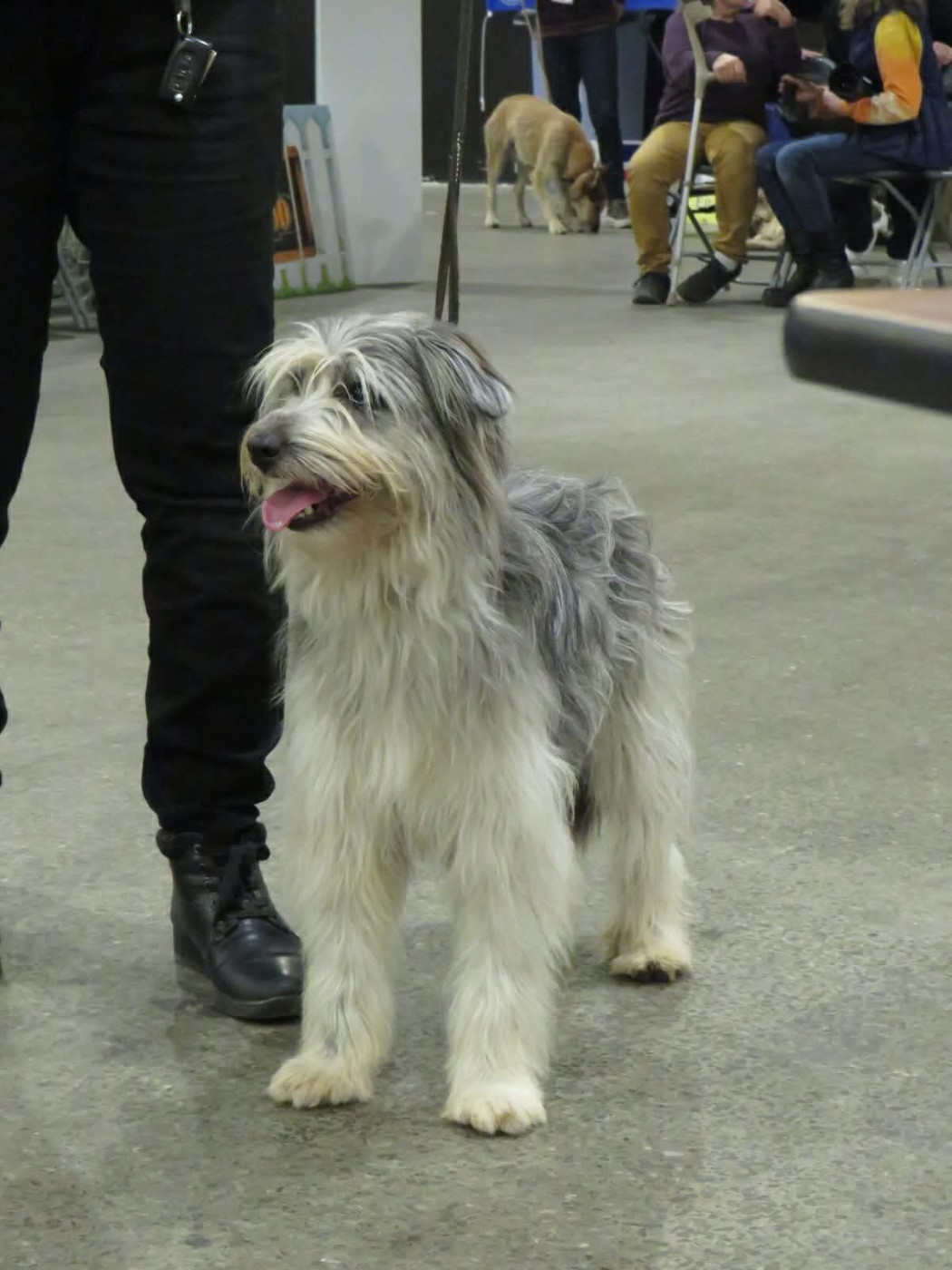 Vis ma vie en bleu du clos de l'imagerie