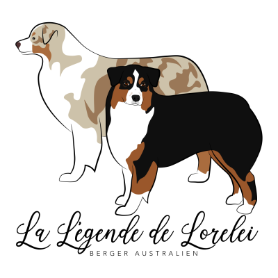 De La Légende De Lorelei